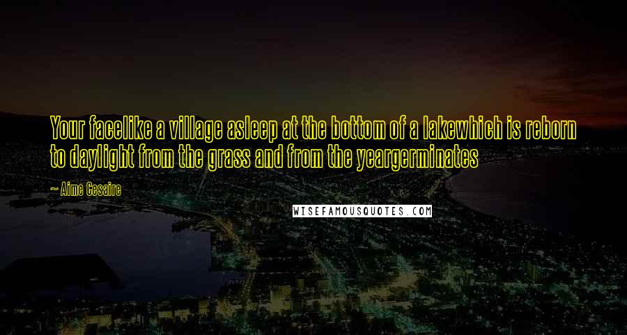 Aime Cesaire Quotes: Your facelike a village asleep at the bottom of a lakewhich is reborn to daylight from the grass and from the yeargerminates