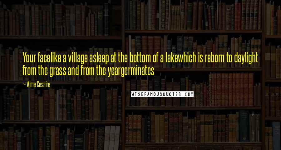 Aime Cesaire Quotes: Your facelike a village asleep at the bottom of a lakewhich is reborn to daylight from the grass and from the yeargerminates