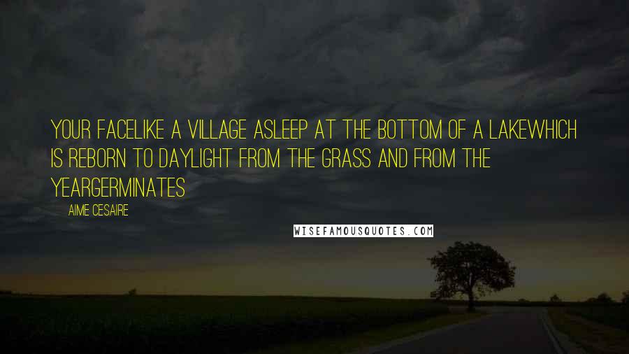 Aime Cesaire Quotes: Your facelike a village asleep at the bottom of a lakewhich is reborn to daylight from the grass and from the yeargerminates