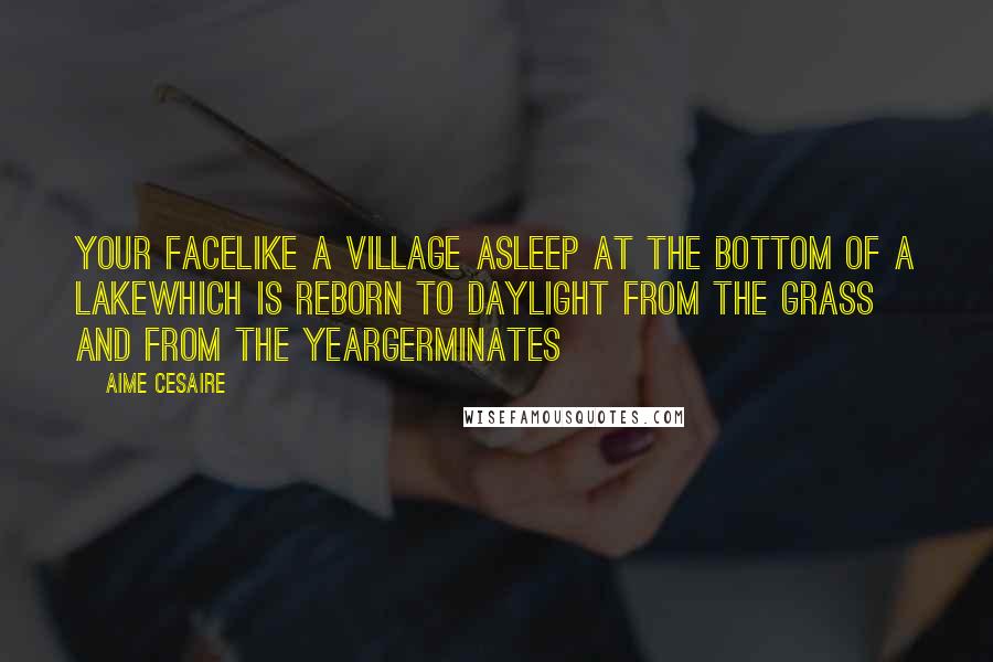 Aime Cesaire Quotes: Your facelike a village asleep at the bottom of a lakewhich is reborn to daylight from the grass and from the yeargerminates