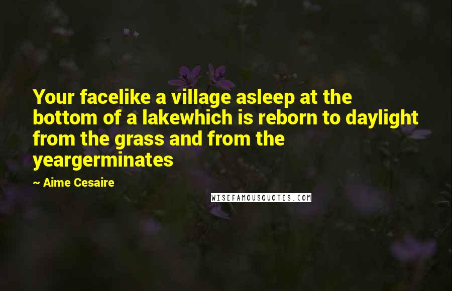 Aime Cesaire Quotes: Your facelike a village asleep at the bottom of a lakewhich is reborn to daylight from the grass and from the yeargerminates