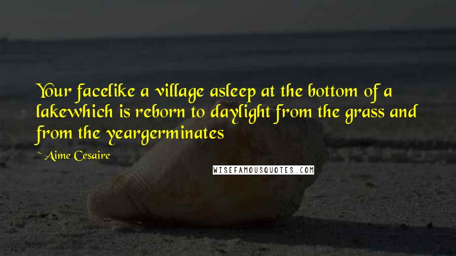 Aime Cesaire Quotes: Your facelike a village asleep at the bottom of a lakewhich is reborn to daylight from the grass and from the yeargerminates