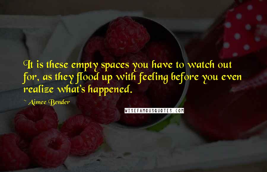 Aimee Bender Quotes: It is these empty spaces you have to watch out for, as they flood up with feeling before you even realize what's happened.