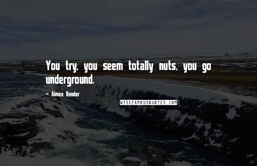 Aimee Bender Quotes: You try, you seem totally nuts, you go underground.