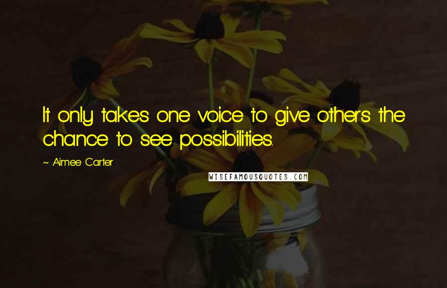 Aimee Carter Quotes: It only takes one voice to give others the chance to see possibilities.