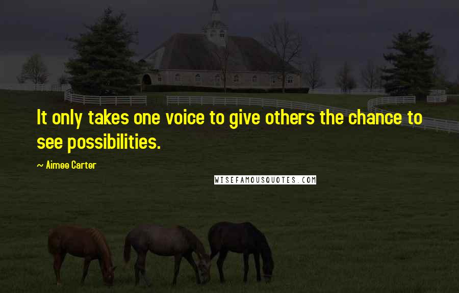 Aimee Carter Quotes: It only takes one voice to give others the chance to see possibilities.