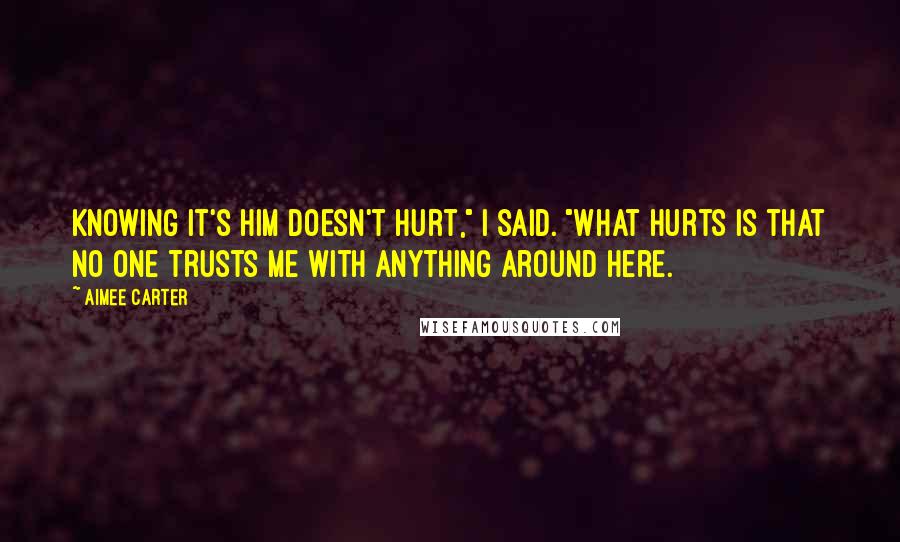 Aimee Carter Quotes: Knowing it's him doesn't hurt," I said. "What hurts is that no one trusts me with anything around here.