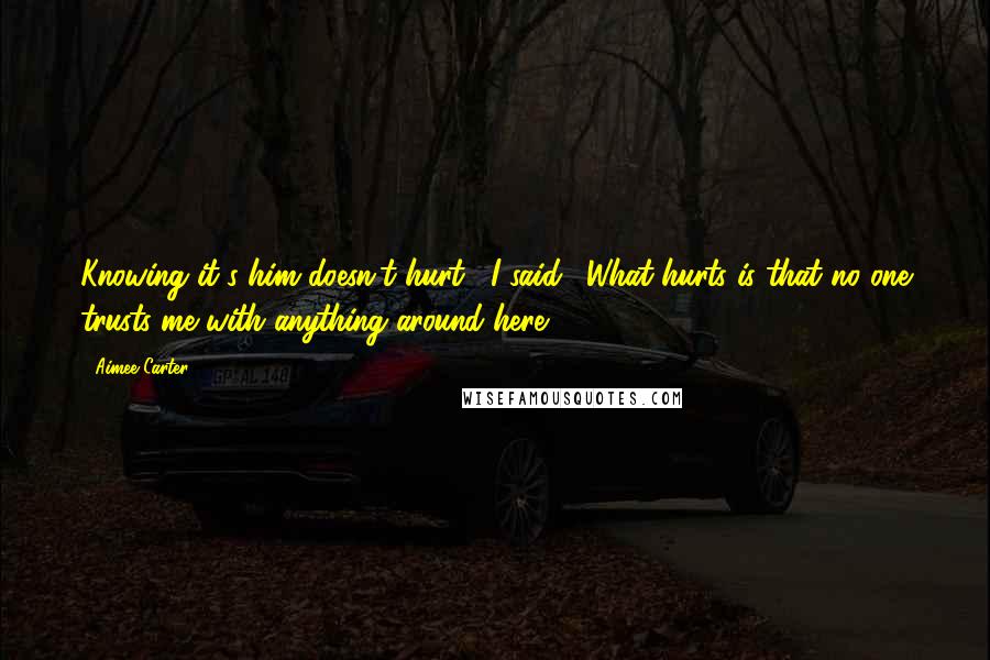 Aimee Carter Quotes: Knowing it's him doesn't hurt," I said. "What hurts is that no one trusts me with anything around here.