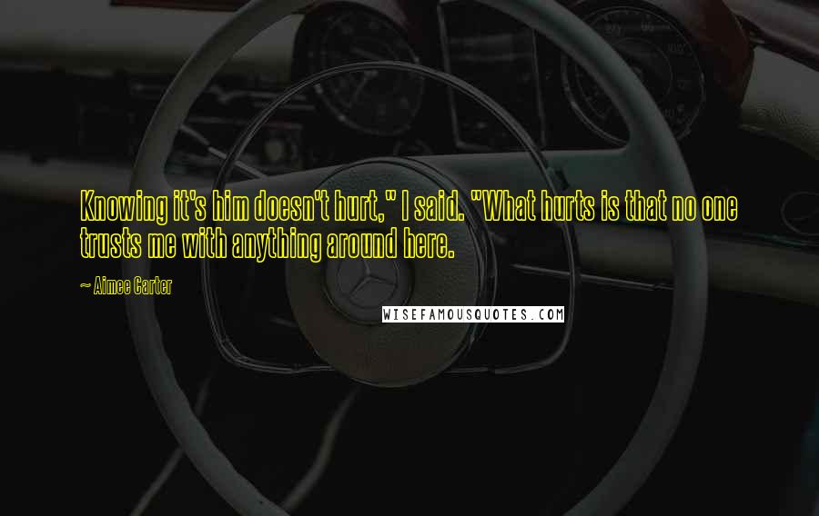 Aimee Carter Quotes: Knowing it's him doesn't hurt," I said. "What hurts is that no one trusts me with anything around here.