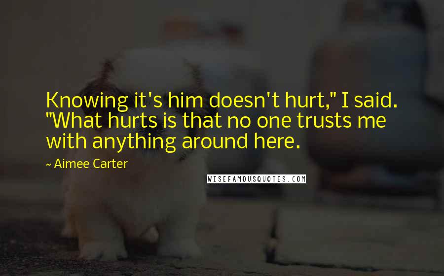 Aimee Carter Quotes: Knowing it's him doesn't hurt," I said. "What hurts is that no one trusts me with anything around here.