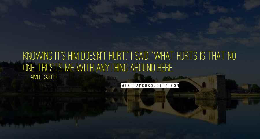 Aimee Carter Quotes: Knowing it's him doesn't hurt," I said. "What hurts is that no one trusts me with anything around here.