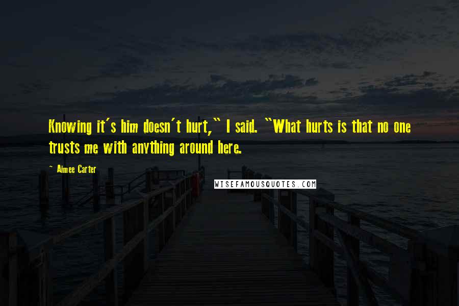 Aimee Carter Quotes: Knowing it's him doesn't hurt," I said. "What hurts is that no one trusts me with anything around here.