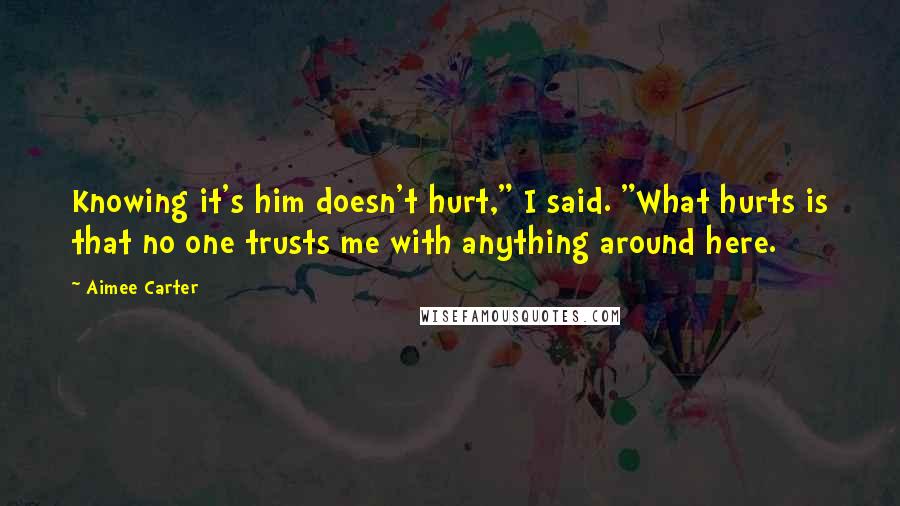 Aimee Carter Quotes: Knowing it's him doesn't hurt," I said. "What hurts is that no one trusts me with anything around here.