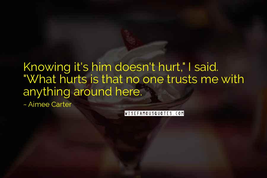 Aimee Carter Quotes: Knowing it's him doesn't hurt," I said. "What hurts is that no one trusts me with anything around here.