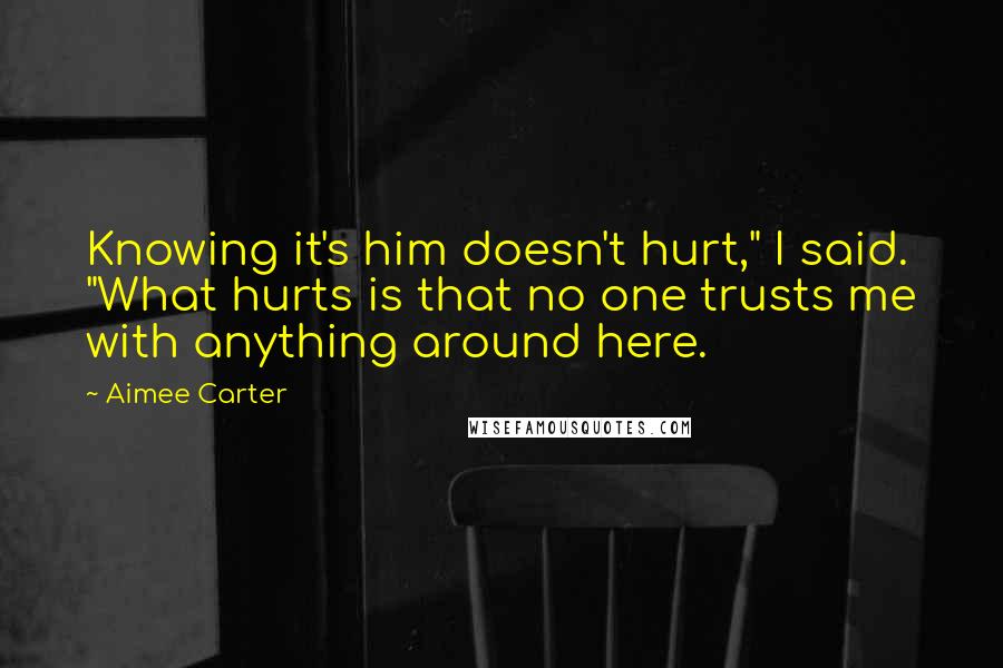 Aimee Carter Quotes: Knowing it's him doesn't hurt," I said. "What hurts is that no one trusts me with anything around here.