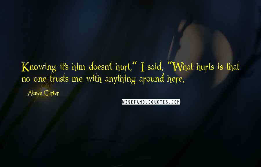 Aimee Carter Quotes: Knowing it's him doesn't hurt," I said. "What hurts is that no one trusts me with anything around here.