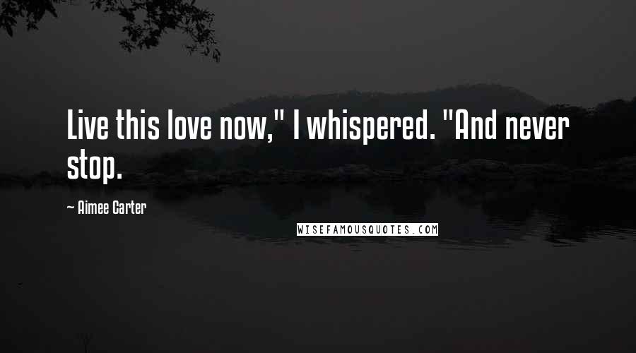 Aimee Carter Quotes: Live this love now," I whispered. "And never stop.