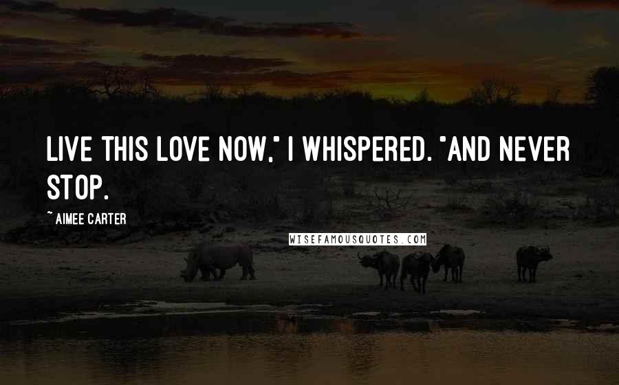 Aimee Carter Quotes: Live this love now," I whispered. "And never stop.
