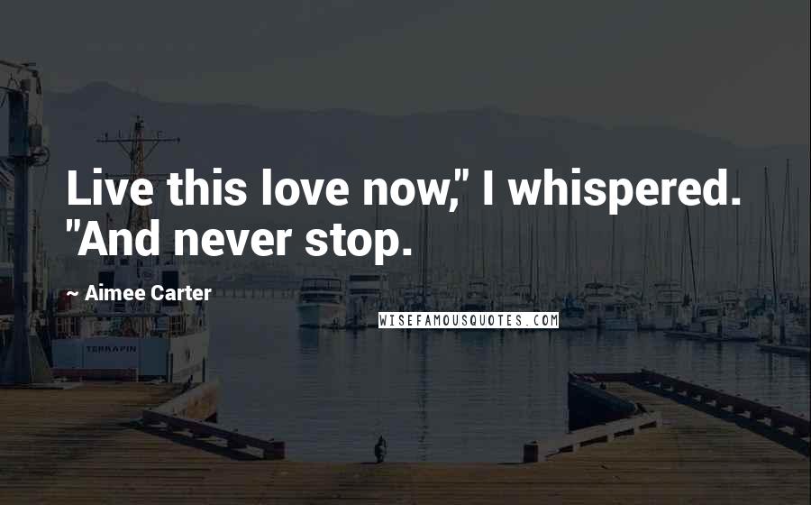 Aimee Carter Quotes: Live this love now," I whispered. "And never stop.