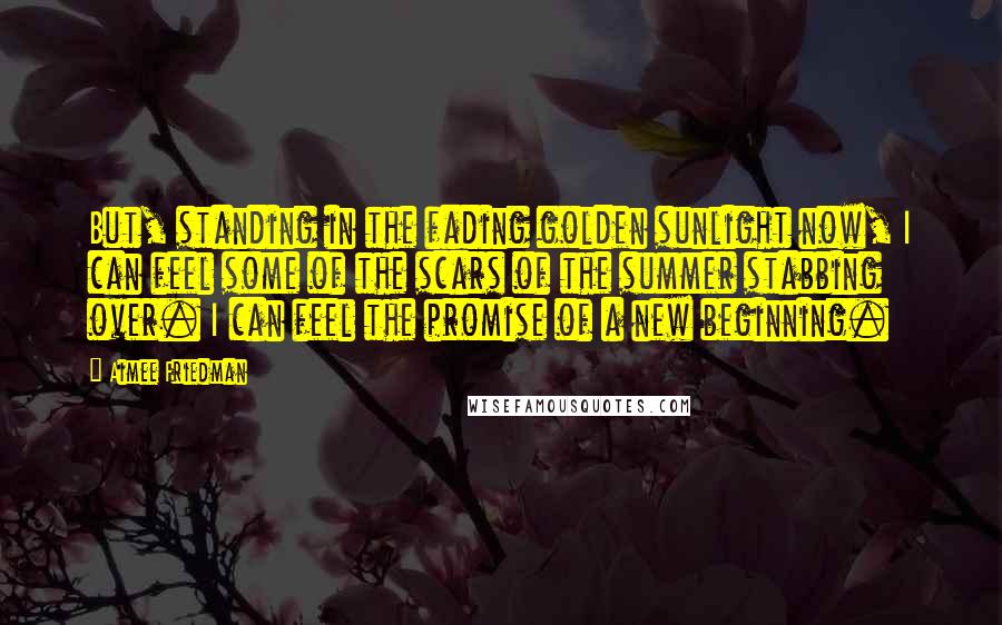 Aimee Friedman Quotes: But, standing in the fading golden sunlight now, I can feel some of the scars of the summer stabbing over. I can feel the promise of a new beginning.