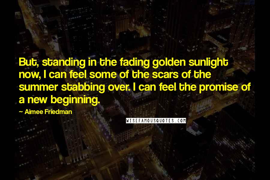 Aimee Friedman Quotes: But, standing in the fading golden sunlight now, I can feel some of the scars of the summer stabbing over. I can feel the promise of a new beginning.