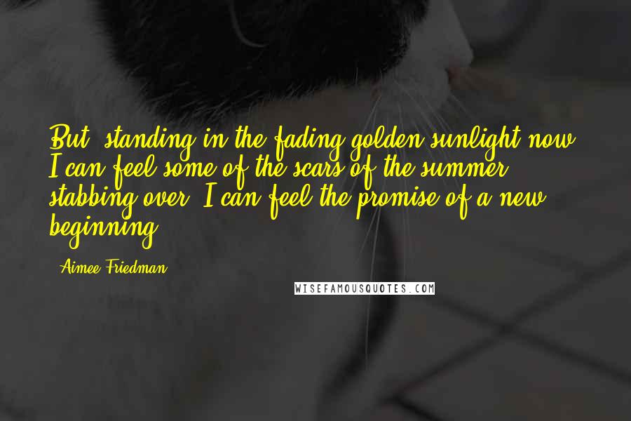 Aimee Friedman Quotes: But, standing in the fading golden sunlight now, I can feel some of the scars of the summer stabbing over. I can feel the promise of a new beginning.