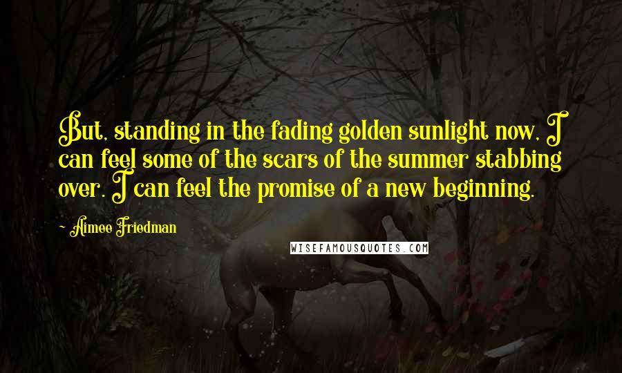 Aimee Friedman Quotes: But, standing in the fading golden sunlight now, I can feel some of the scars of the summer stabbing over. I can feel the promise of a new beginning.