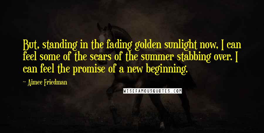 Aimee Friedman Quotes: But, standing in the fading golden sunlight now, I can feel some of the scars of the summer stabbing over. I can feel the promise of a new beginning.