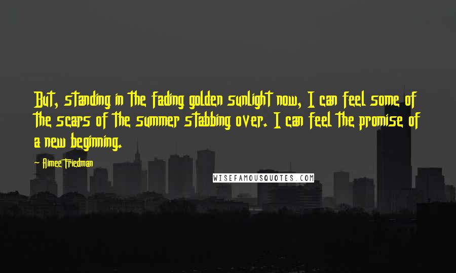 Aimee Friedman Quotes: But, standing in the fading golden sunlight now, I can feel some of the scars of the summer stabbing over. I can feel the promise of a new beginning.