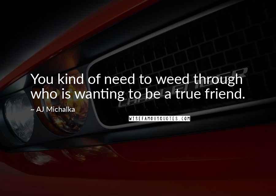 AJ Michalka Quotes: You kind of need to weed through who is wanting to be a true friend.