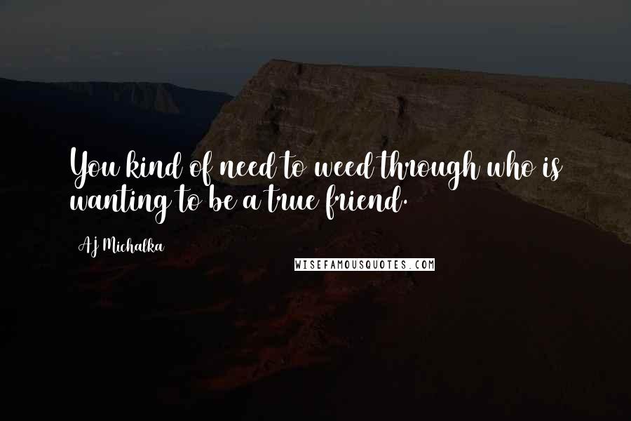 AJ Michalka Quotes: You kind of need to weed through who is wanting to be a true friend.