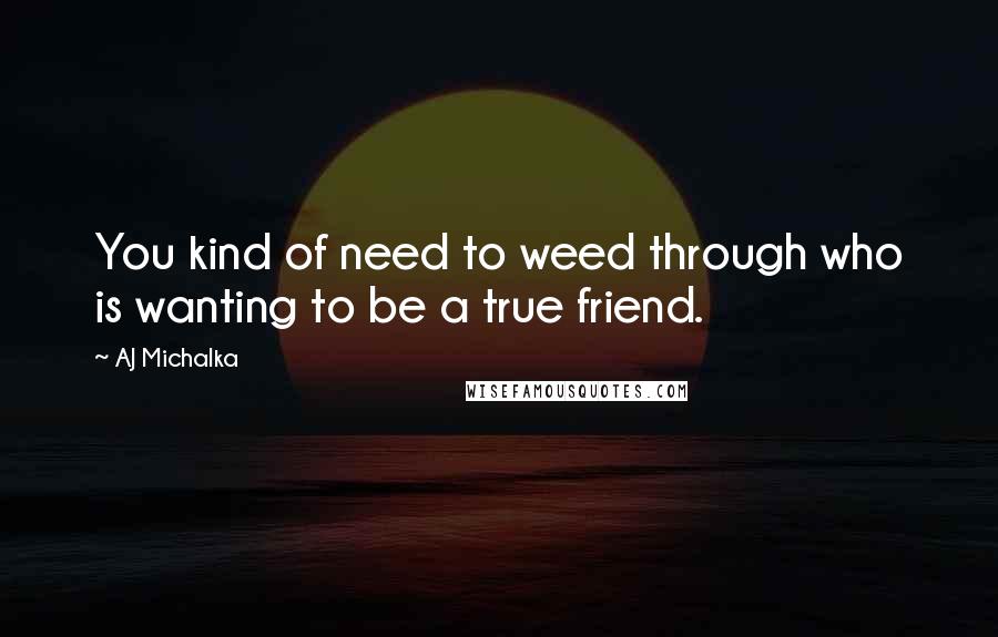 AJ Michalka Quotes: You kind of need to weed through who is wanting to be a true friend.