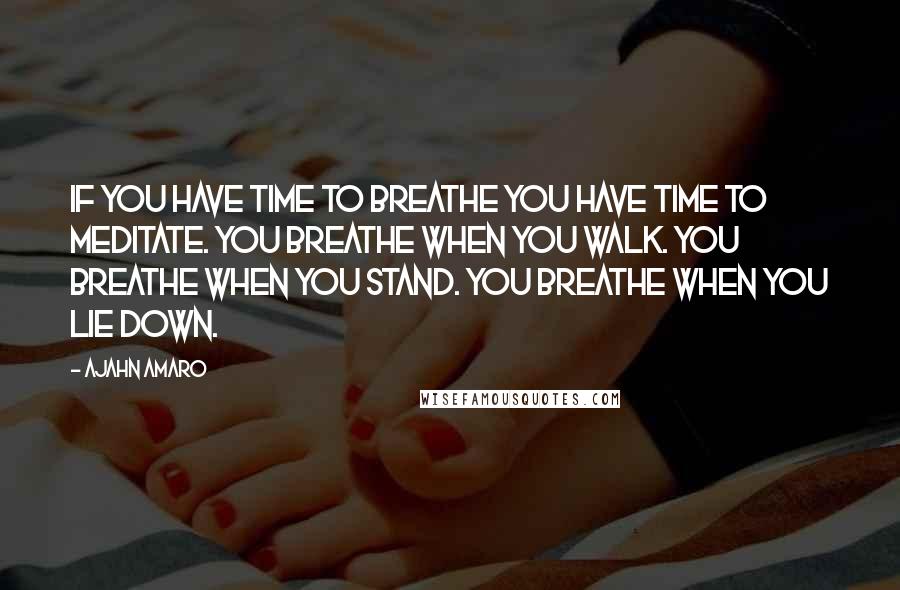 Ajahn Amaro Quotes: If you have time to breathe you have time to meditate. You breathe when you walk. You breathe when you stand. You breathe when you lie down.