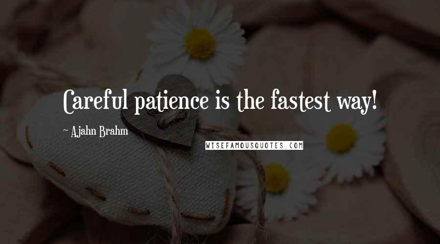 Ajahn Brahm Quotes: Careful patience is the fastest way!