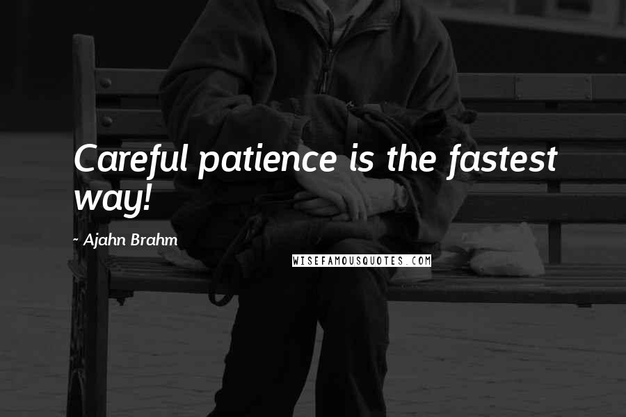 Ajahn Brahm Quotes: Careful patience is the fastest way!