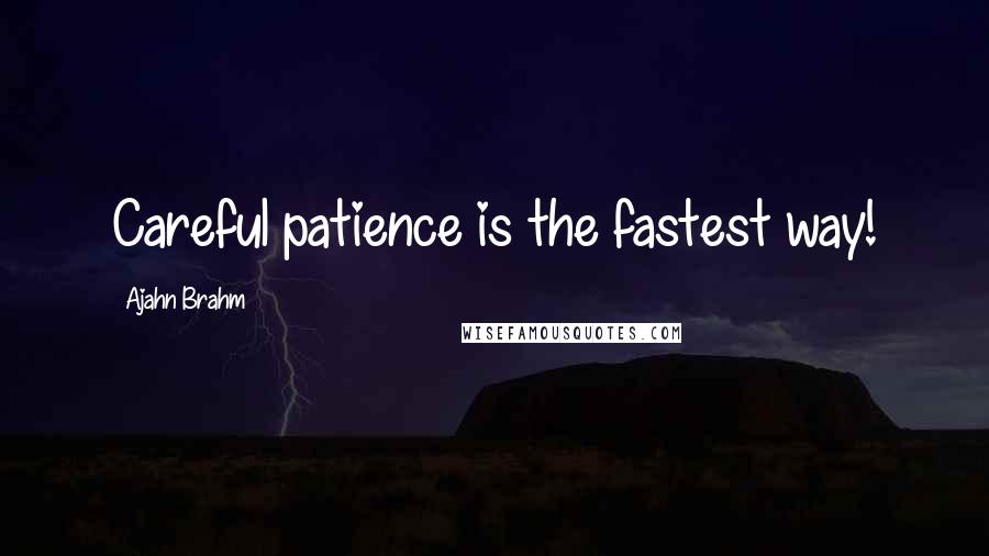 Ajahn Brahm Quotes: Careful patience is the fastest way!