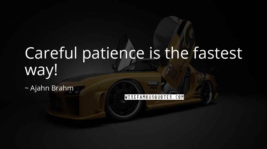 Ajahn Brahm Quotes: Careful patience is the fastest way!