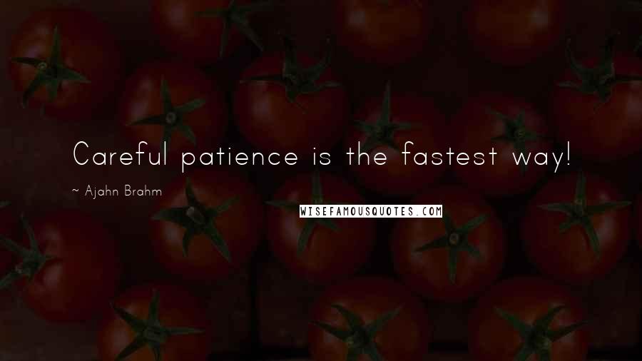 Ajahn Brahm Quotes: Careful patience is the fastest way!