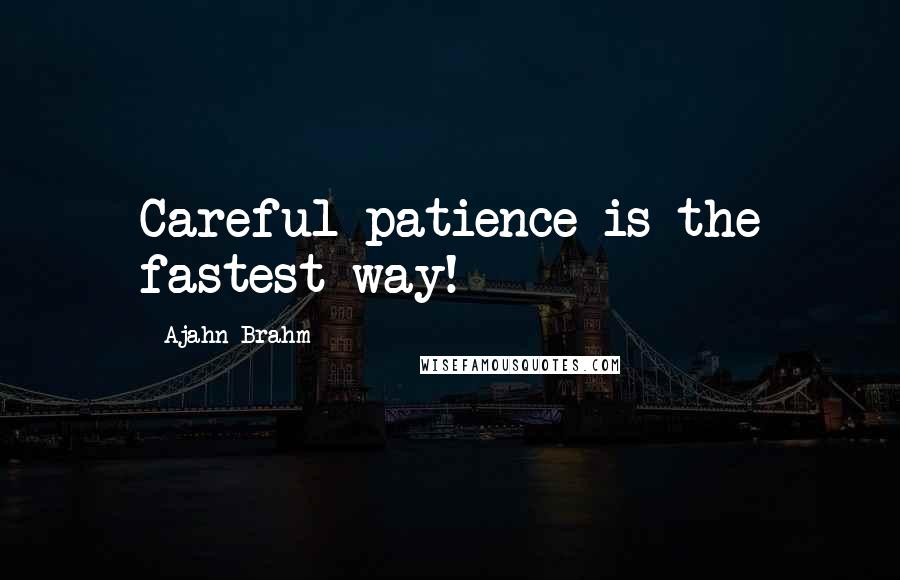 Ajahn Brahm Quotes: Careful patience is the fastest way!