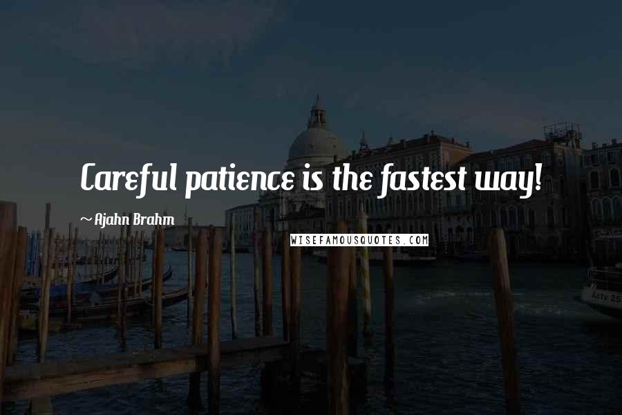 Ajahn Brahm Quotes: Careful patience is the fastest way!