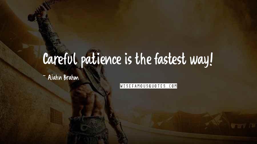 Ajahn Brahm Quotes: Careful patience is the fastest way!