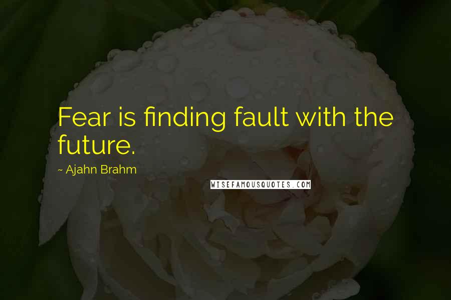 Ajahn Brahm Quotes: Fear is finding fault with the future.