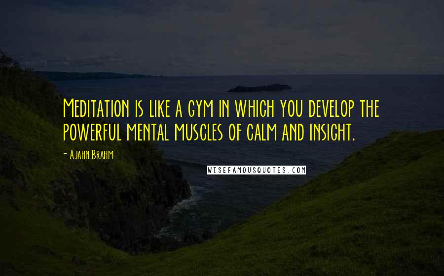 Ajahn Brahm Quotes: Meditation is like a gym in which you develop the powerful mental muscles of calm and insight.