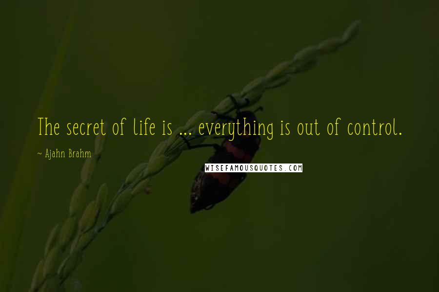 Ajahn Brahm Quotes: The secret of life is ... everything is out of control.