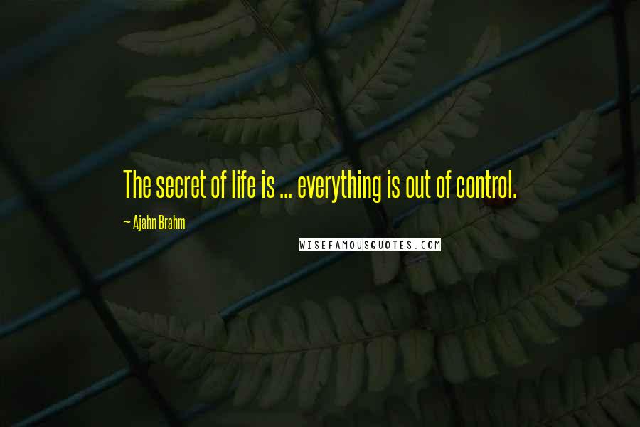 Ajahn Brahm Quotes: The secret of life is ... everything is out of control.