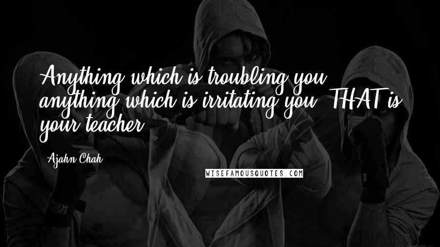 Ajahn Chah Quotes: Anything which is troubling you, anything which is irritating you, THAT is your teacher.
