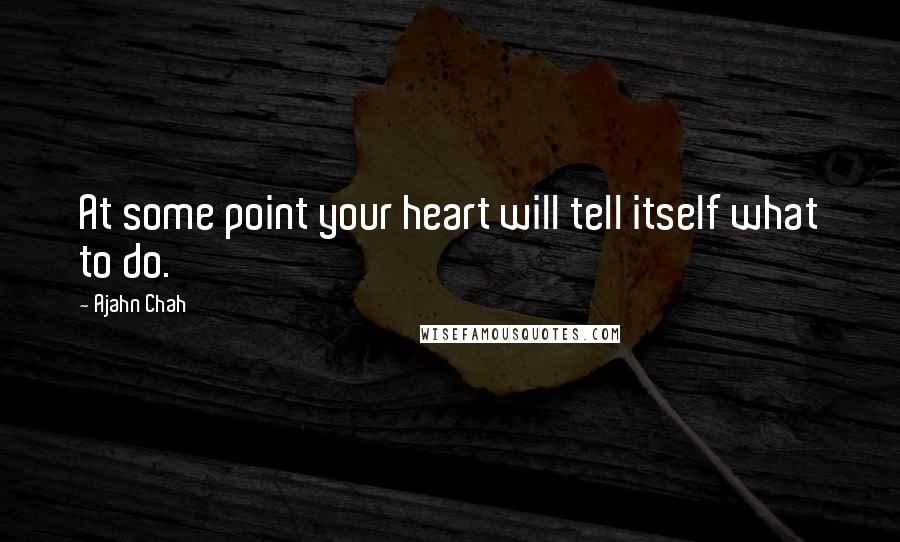 Ajahn Chah Quotes: At some point your heart will tell itself what to do.