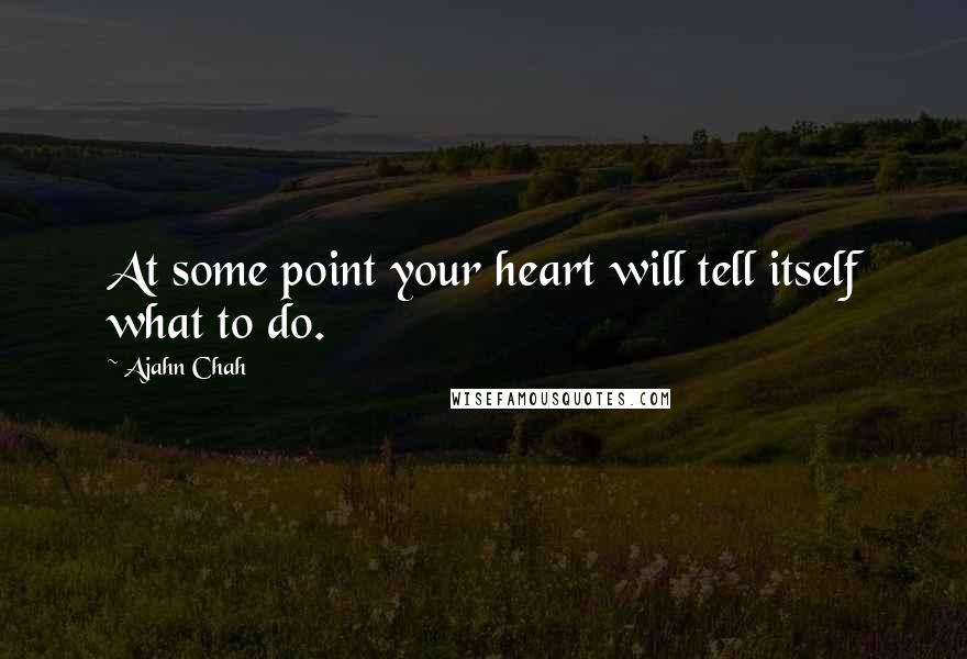 Ajahn Chah Quotes: At some point your heart will tell itself what to do.