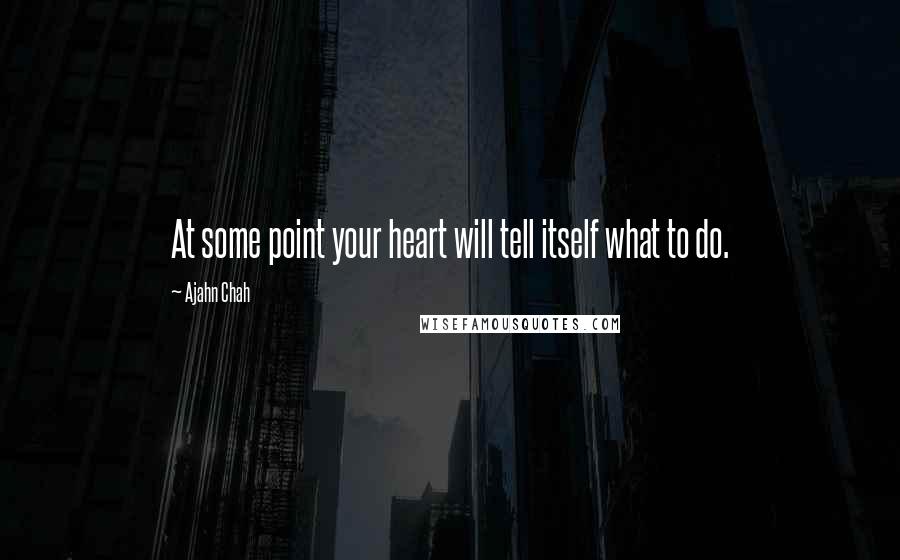 Ajahn Chah Quotes: At some point your heart will tell itself what to do.