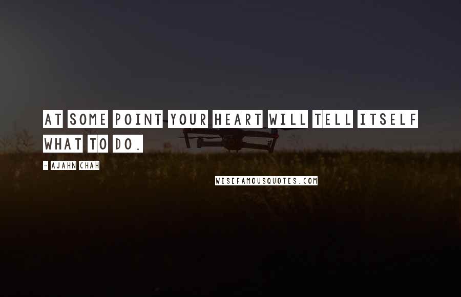 Ajahn Chah Quotes: At some point your heart will tell itself what to do.